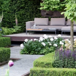 Paeonia 'Shirley Temple' -Cheap Ethereal Yard Store chelsea flower show look