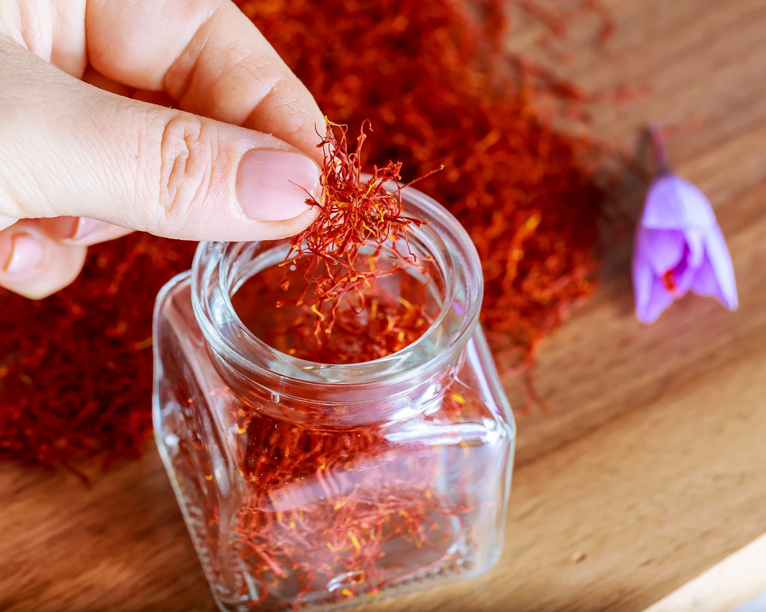 Crocus Sativus 5 Crocus Sativus - Image 5