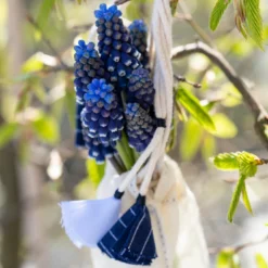 Muscari 'Night Eyes' -Cheap Ethereal Yard Store muscari night eyes 6