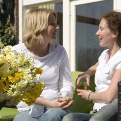 Narcissus 'Avalanche' -Cheap Ethereal Yard Store narcissus avalanche 7