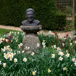 Narcissus 'Barrett Browning' -Cheap Ethereal Yard Store narcissus barrett browning 10 scaled