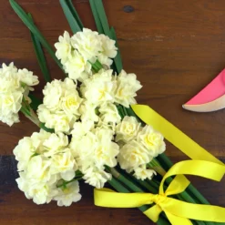 Narcissus 'Erlicheer' -Cheap Ethereal Yard Store narcissus erlicheer 5