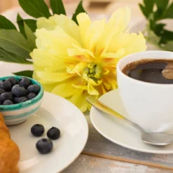 Paeonia 'Bartzella' -Cheap Ethereal Yard Store peony bartzella 2 scaled