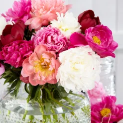 Peony Collection 'Colourburst' -Cheap Ethereal Yard Store peony mixed 4