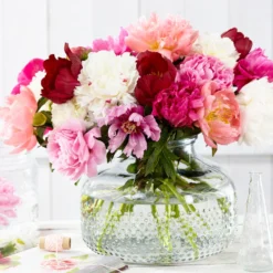 Peony Collection 'Colourburst' -Cheap Ethereal Yard Store peony mixed 5