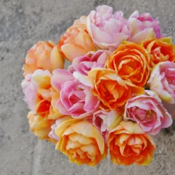 Tulip 'Angelique' 13 Tulip 'Angelique' -Cheap Ethereal Yard Store tulip angelique 4 scaled