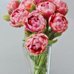 Tulip 'Wedding Gift' -Cheap Ethereal Yard Store tulip wedding gift 1