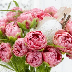 Tulip 'Wedding Gift' -Cheap Ethereal Yard Store tulip wedding gift 20